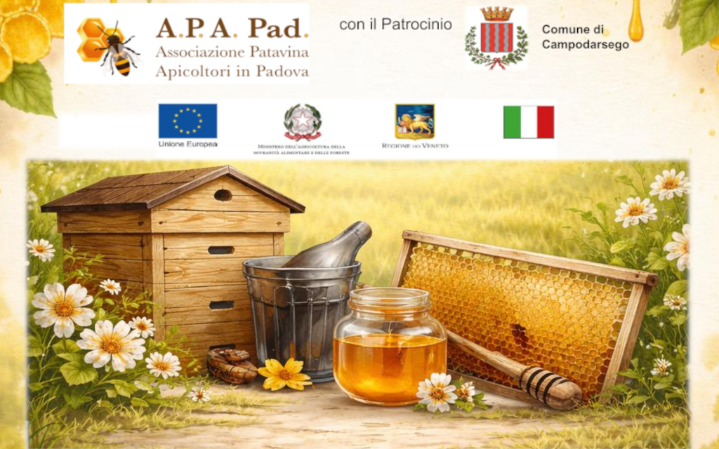 Corso base apicoltura Campodarsego