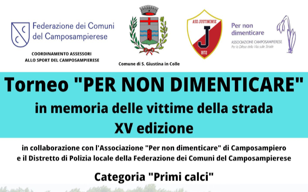 Toneo primi calci